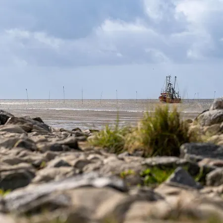 펜션 Westertill 10 *